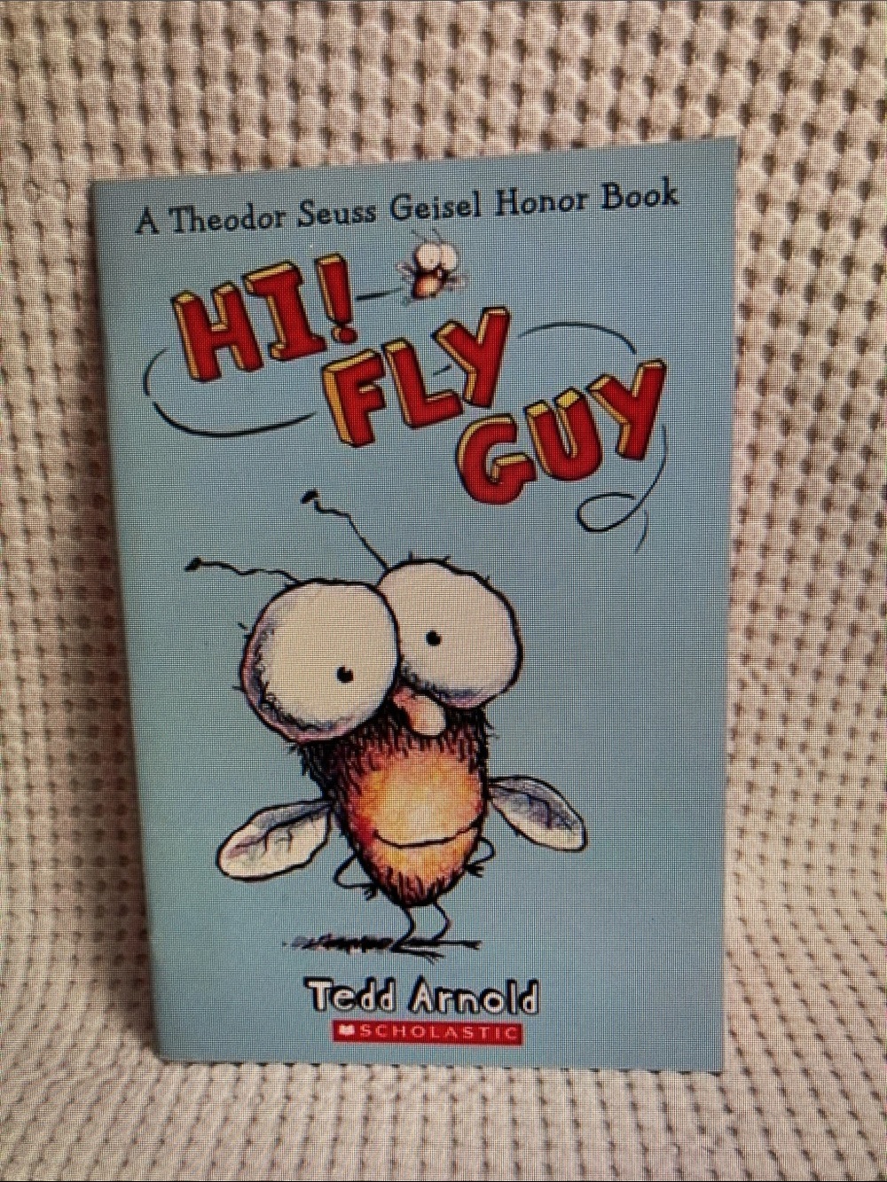 Scholastic Blue & Red Fly Guy Illustrated Wall Art